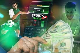 Gestión del Bankroll Clave para el Éxito en Yajuego