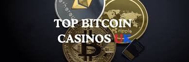 Exploring the Future of Gaming The Rise of New Crypto Casinos Exploring the Future of Gaming The Rise of New Crypto Casinos
